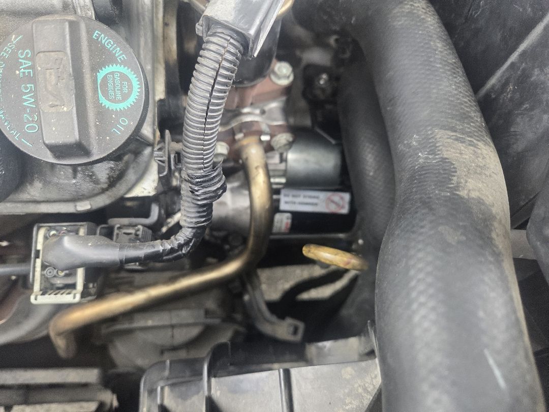 Cooling hoses checked under the hood